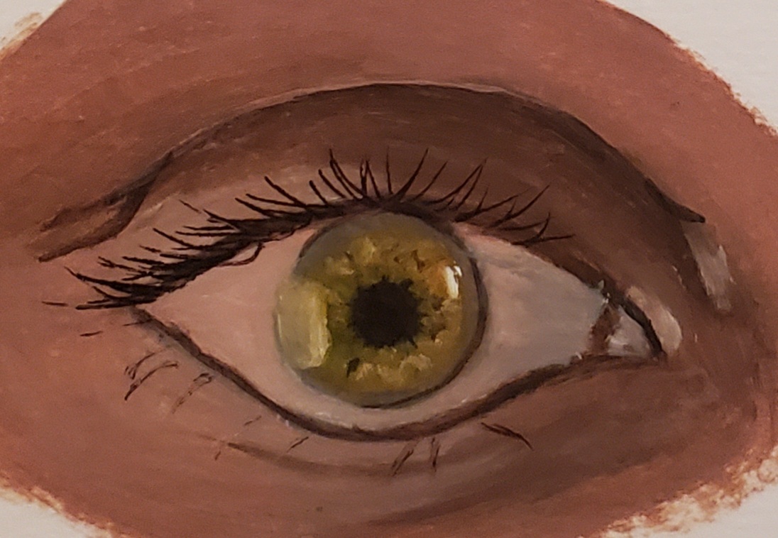 Eye Study