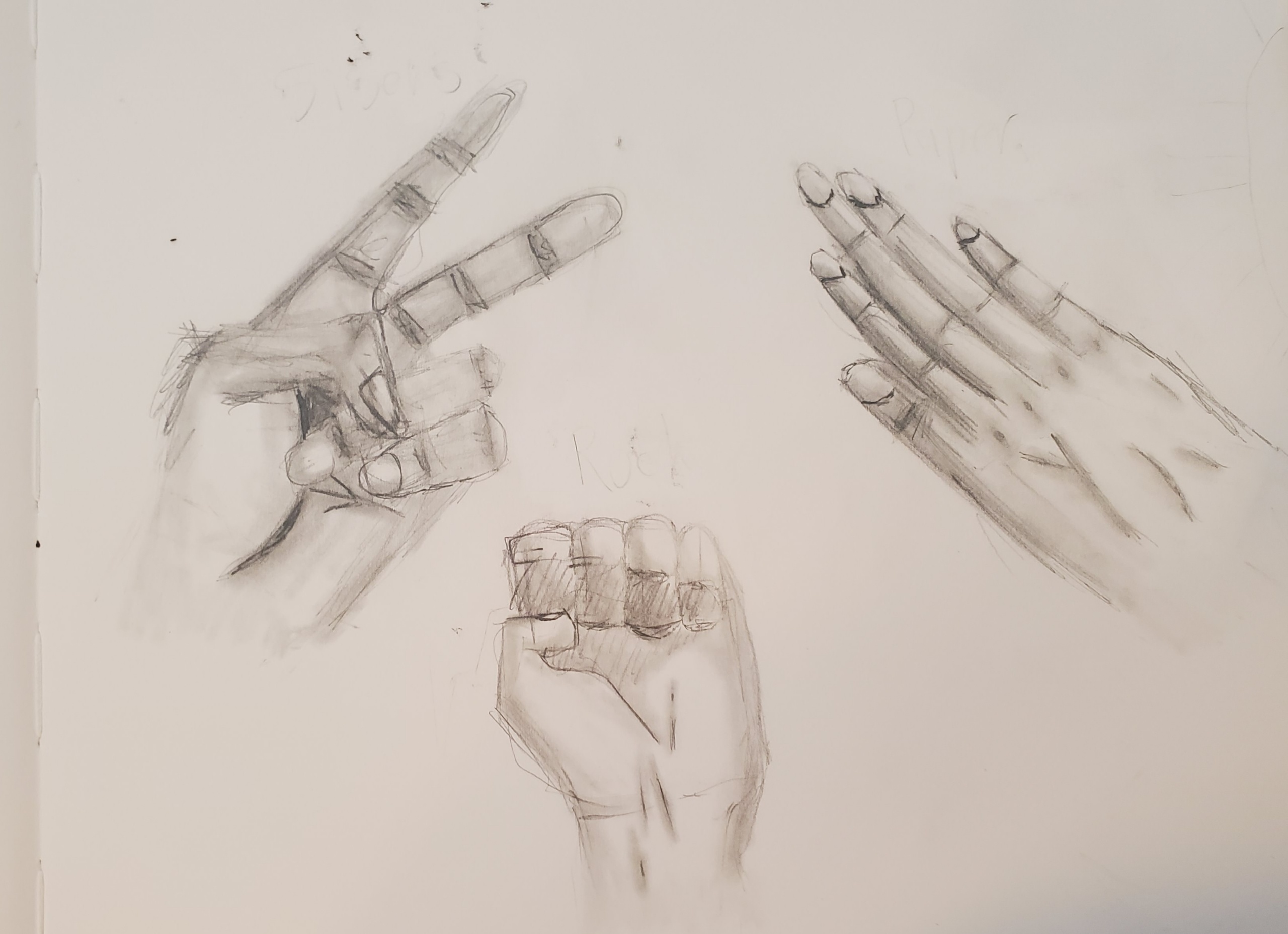 Hands Study